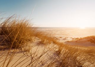 Las dunas en el Mar Báltico