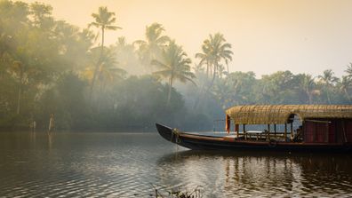 Kerala, India, Detox 