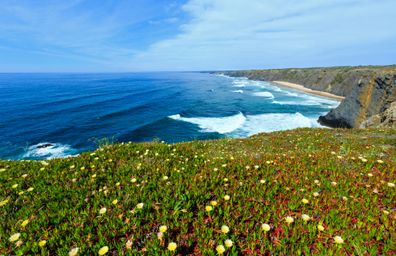 Pradera de flores y costa del Algarve, Portugal