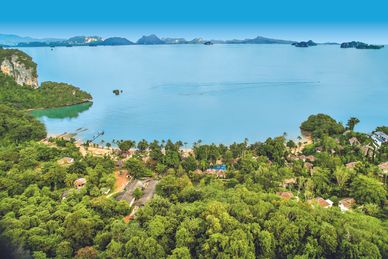 Yoga y bienestar intensivo